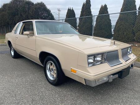 1981 oldsmobile cutlass