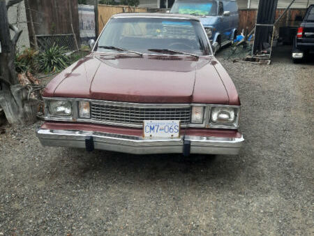 Plymouth Volare Tweedehands Zoeken Naar Een Tweedehands Auto De Parking