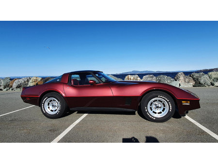 CORVETTE C3 corvette-c3-med-t-tak-og-fitech-efi-fuel-injection Used ...
