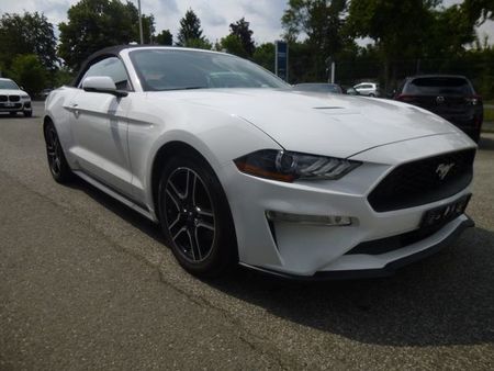 Ford Mustang 2.3 EcoBoost 314