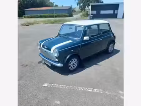 Rover Mini 1.3