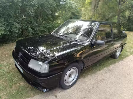 Peugeot 309 Collection