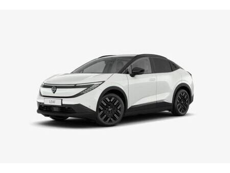 Nissan Leaf 217