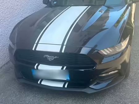 Ford Mustang V6 3.7 317