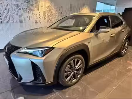 Lexus UX 2.0 F Sport