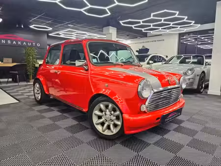 Mini Mini