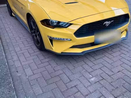 Ford Mustang Fastback 2.3 317