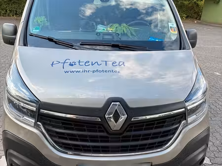 Renault Trafic 2.0 dCi 170