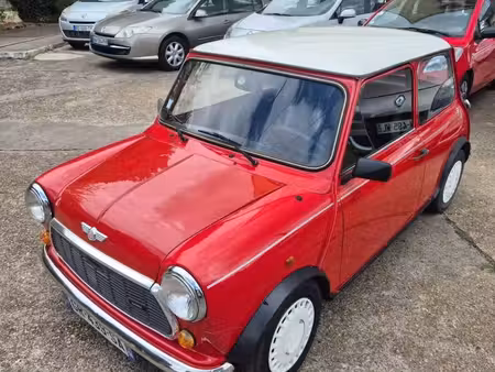 Mini Mini