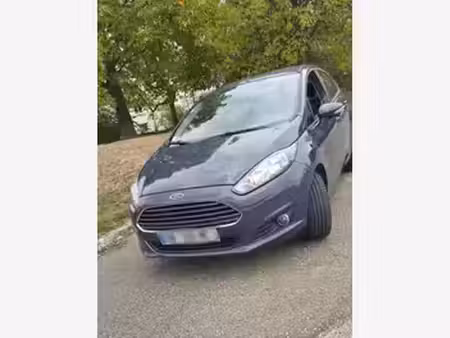 Ford Fiesta 1.0 EcoBoost 100 S