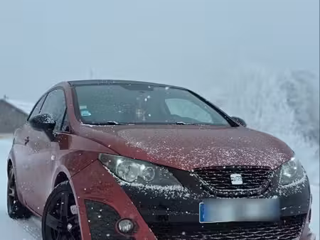 Seat Ibiza 2.0 143 Bocanegra