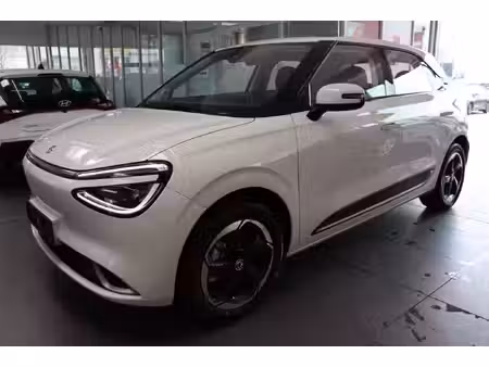 Dongfeng Nammi Box
