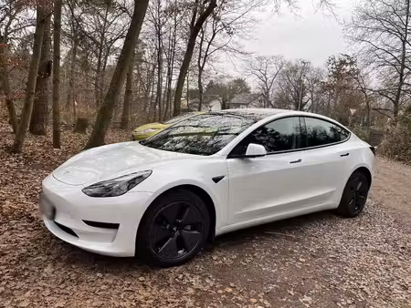 Tesla Model 3 283