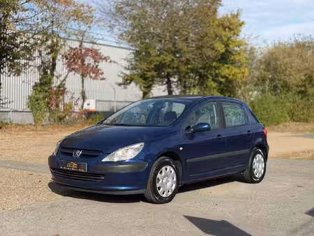 Peugeot 307 2.0 90 XR Presence
