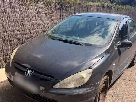 Peugeot 307 2.0 90