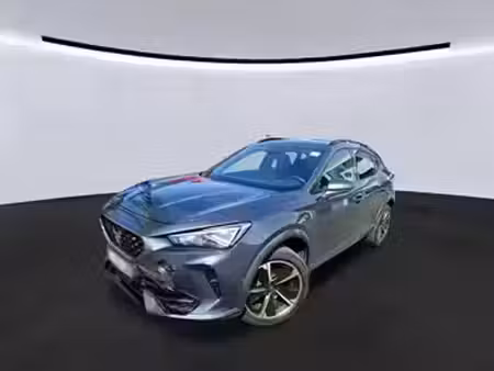 Cupra Formentor 2.0 TDI 150 Business Edition 4x4
