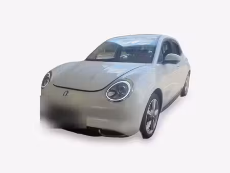 Great Wall Motors ORA 03