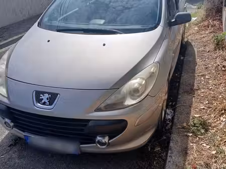 Peugeot 307 1.6 110