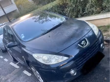 Peugeot 307 2.0 110