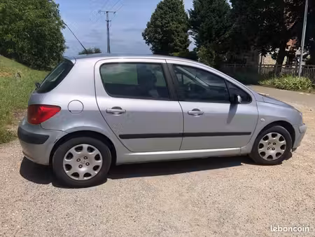 Peugeot 307 2.0 110