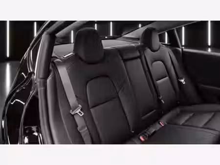 Tesla Model 3 Standard Plus 275