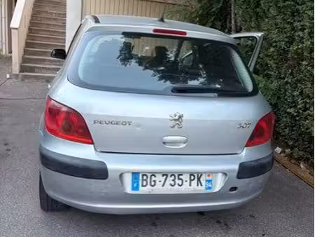 Peugeot 307 2.0 110