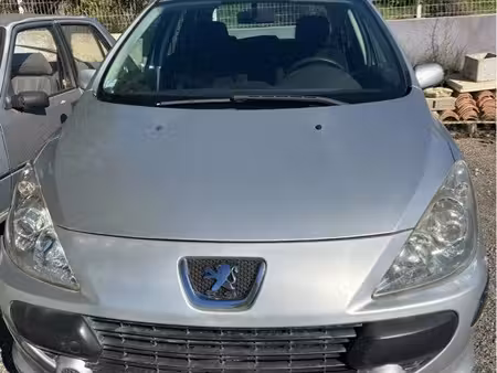 Peugeot 307 2.0 90