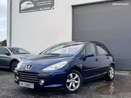 Peugeot 307 1.6 110 Executive