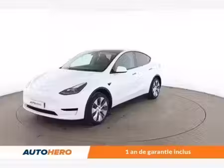Tesla Model Y Standard 295
