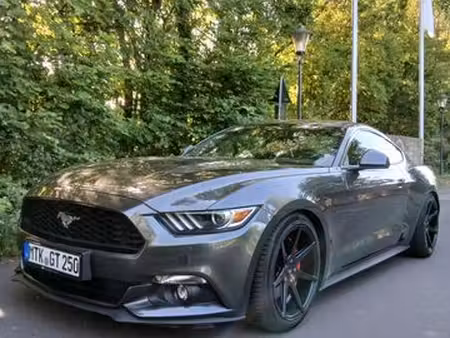 Ford Mustang Fastback 2.3 EcoBoost 317