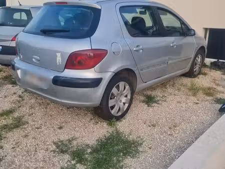 Peugeot 307 2.0 110