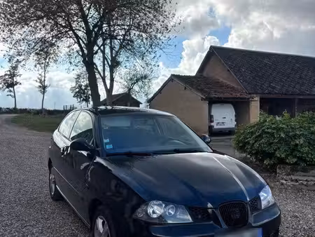 Seat Ibiza 1.9 TDI 100
