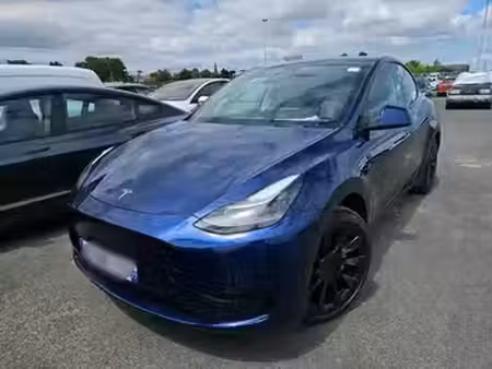 Tesla Model Y Standard 295