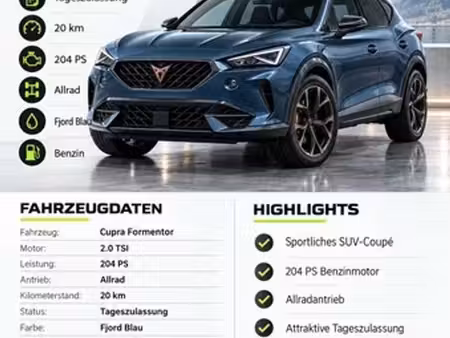 Cupra Formentor 2.0 TSI 150