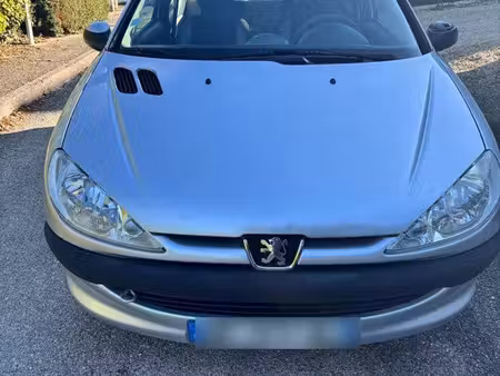 Peugeot 206 1.1 60