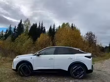 Peugeot 3008 210 Allure