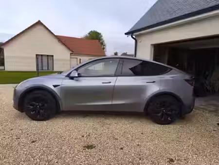 Tesla Model Y Standard 295