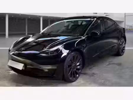 Tesla Model 3 Performance 482 PUP 4x4