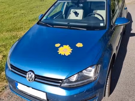 Volkswagen Golf 1.2 TSI 105 Confortline