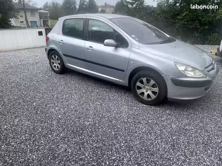 Peugeot 307 1.6 110