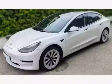 Tesla Model 3 Standard Plus 283