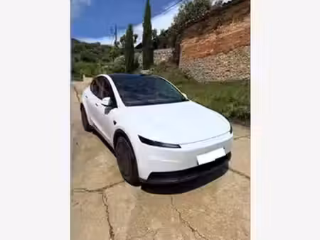 Tesla Model Y Standard 295
