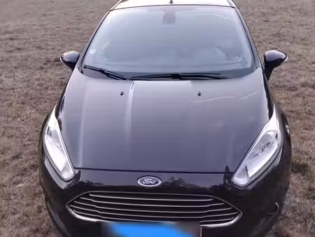 Ford Fiesta 1.0 100